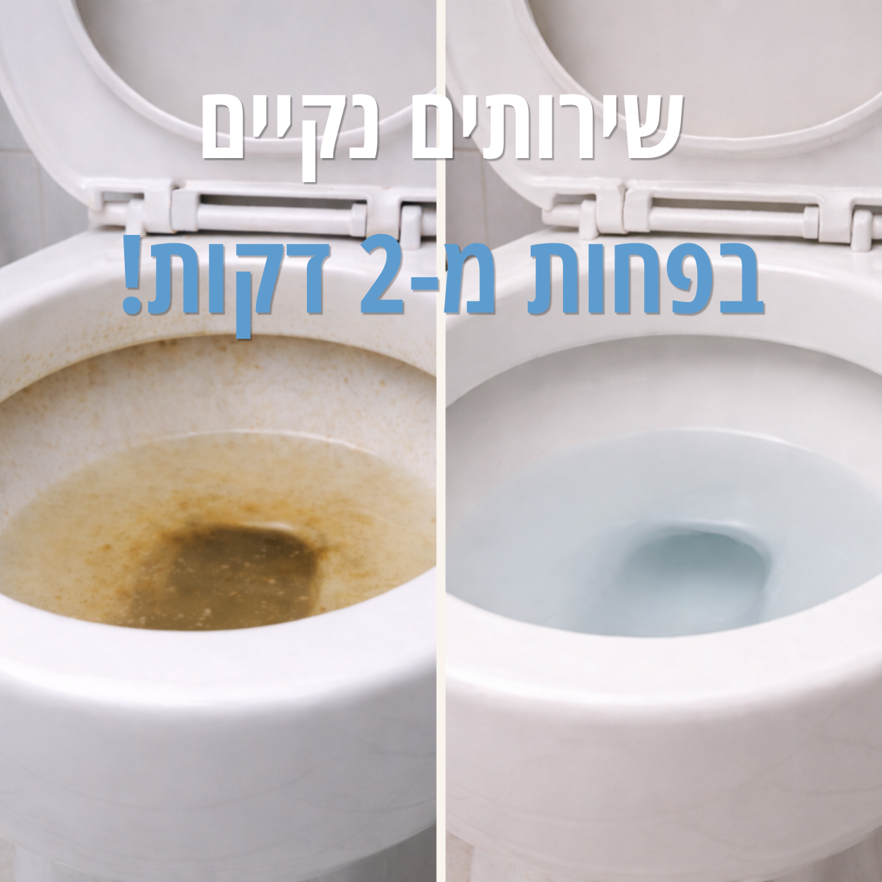 מנקה האסלה של סלורה